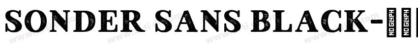 Sonder Sans Black字体转换